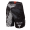 Fight shorts – Thunder Wings - tył