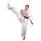 Brązowy Pas Karate Kyokushinkai 280 cm - Beltor